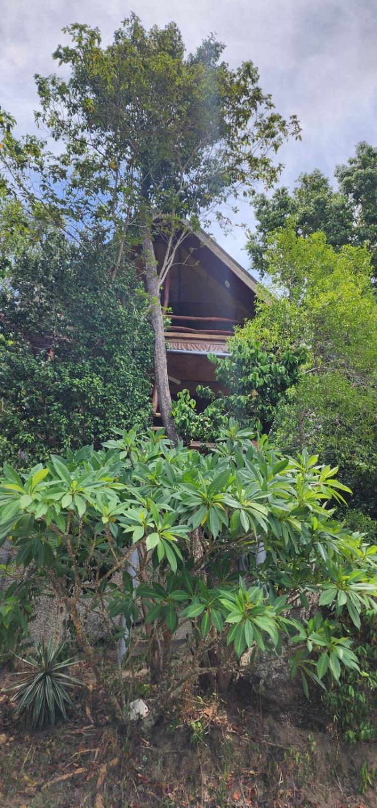 Why Nam Beach Haad Yuan Exterior foto